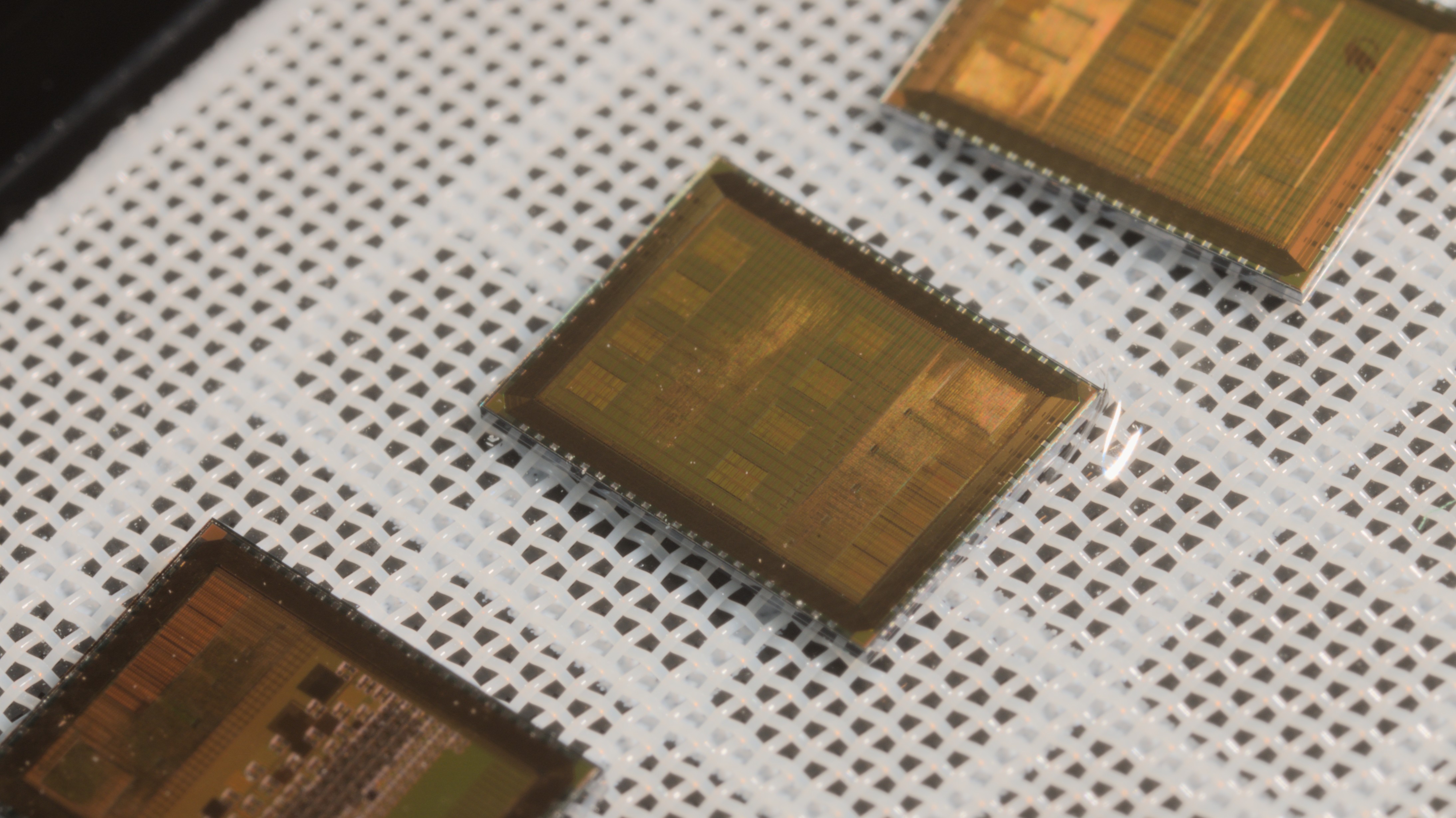 GF180MCU Shuttle Slot<br>Bare Dies