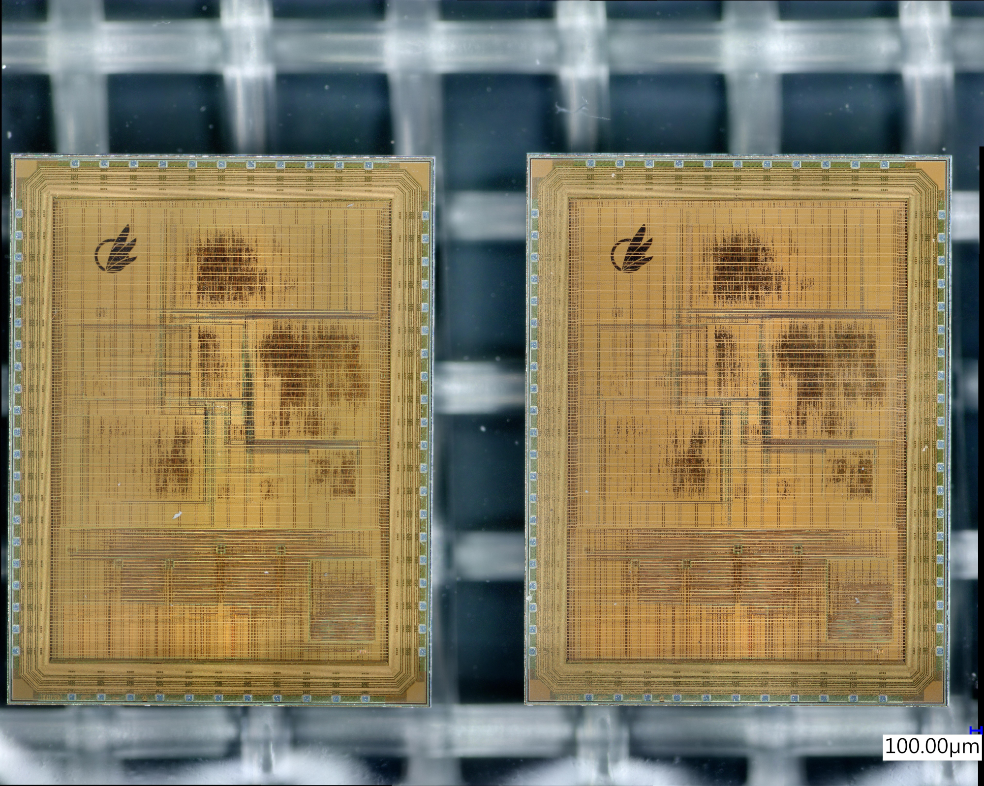 We Have Some Amazing Projects This Run: Tholin & Avalon Semiconductors